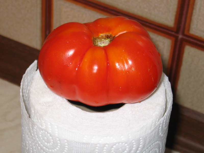 tomato