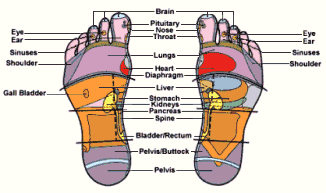 reflexology chart, depicting treatment positions on the feet